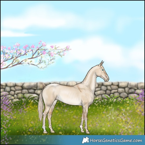 Horse Color:Chocolate Palomino Pearl Dun 