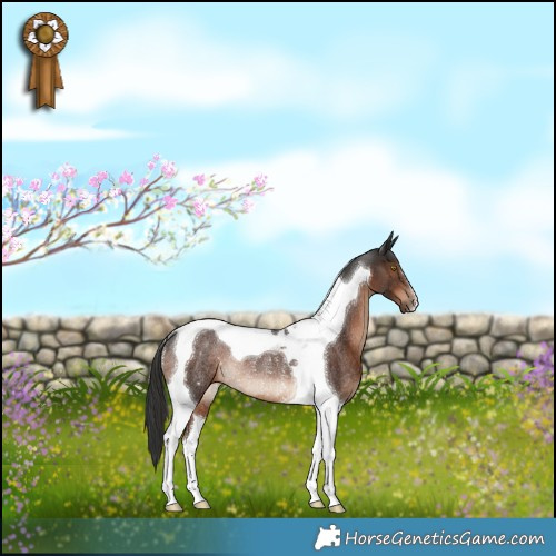 Horse Color:Liver Chestnut Tobiano Rabicano