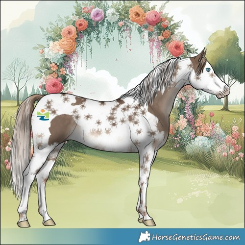 Horse Color:Liver Red Dun Splash Tobiano 