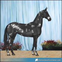 Horse Color:White Spotted Liver Chestnut 