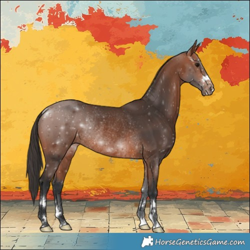 Horse Color:Bay Rabicano 