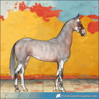 Horse Color:Brown Roan Splash Rabicano 