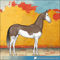 Horse Color:Liver Red Dun Splash 