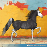 Horse Color:Smoky Black Splash Rabicano 