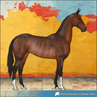 Horse Color:Gray Bay Rabicano
