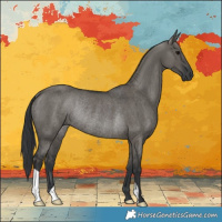 Horse Color:Grullo Rabicano 