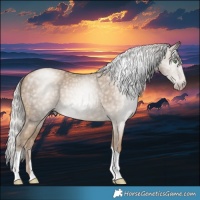 Horse Color:Gray Silver Classic Cream Champagne 