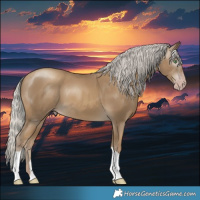 Horse Color:Gray Silver Classic Cream Champagne 