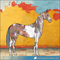 Horse Color:Painted Nacre White Spotted Bay Tobiano 
