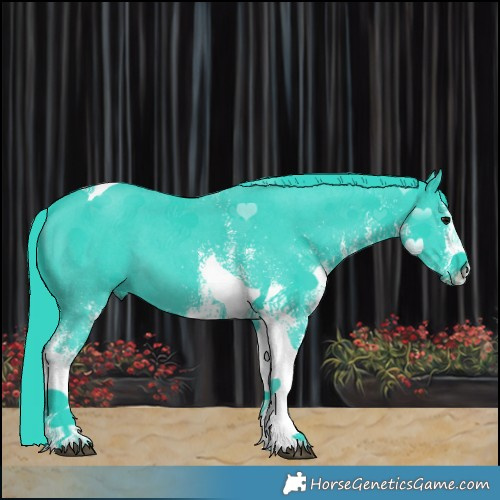 Horse Color:Watercolor White Spotted Black Tobiano 