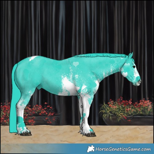 Horse Color:Watercolor White Spotted Black Tobiano 