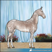 Horse Color:Painted White Spotted Silver Black Ice Rabicano 