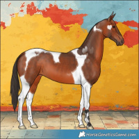 Horse Color:Bay Tobiano 