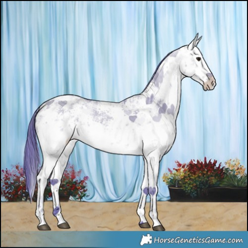 Horse Color:Watercolor White Spotted Brown Ice Dun Sabino 