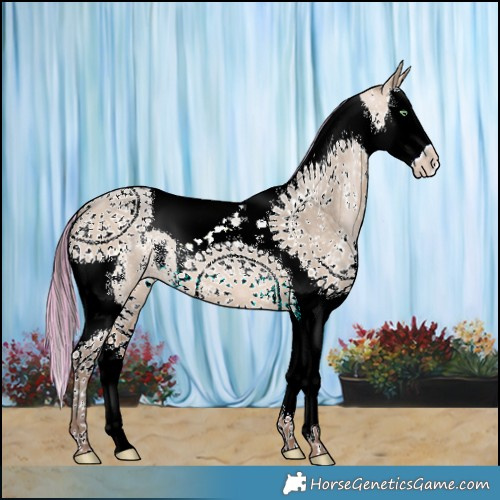Horse Color:Painted Sable Champagne Dun Sabino Splash Tobiano 
