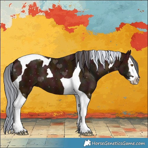 Horse Color:Painted Midnight Bay Splash Tobiano 