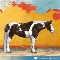 Horse Color:Painted Midnight Bay Splash Tobiano