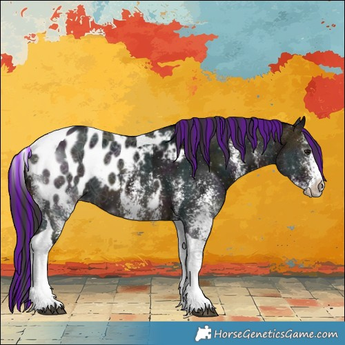 Horse Color:Painted White Spotted Midnight Brown Tobiano Appaloosa 
