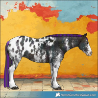 Horse Color:Painted White Spotted Midnight Brown Tobiano Blanket 