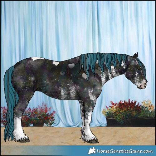 Horse Color:Painted White Spotted Midnight Black Ice Tobiano 