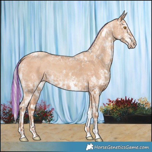 Horse Color:Painted White Spotted Silver Classic Champagne Ice 
