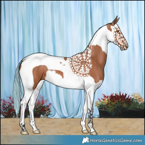 Horse Color:Painted Bay Splash Tobiano 