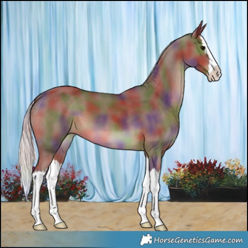 Horse Color:Nacre Silver Black Splash 