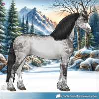 Horse Color:Grullo Ice 
