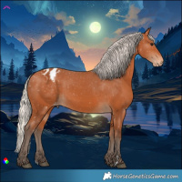 Horse Color:Silver Bay Appaloosa
