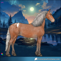 Horse Color:Silver Bay Appaloosa 