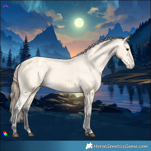 Horse Color:Buckskin Varnish 