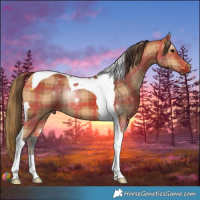 Horse Color:Plaid  Bay Tobiano 