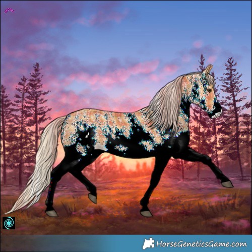 Horse Color:Plaid White Spotted Chestnut