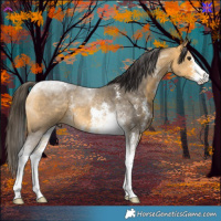 Horse Color:Buckskin Sabino Tobiano 