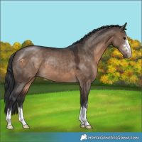 Horse Color:Brown Dun