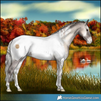 Horse Color:Silver Brown Onyx Mushroom Snowcap 
