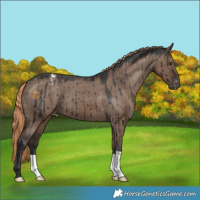 Horse Color:Liver Red Dun Varnish Brindle 