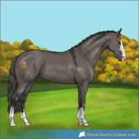 Horse Color:Grullo Mushroom Varnish 