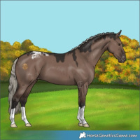 Horse Color:Liver Red Dun Mushroom Varnish 
