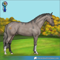 Horse Color:Liver Red Dun Mushroom Varnish