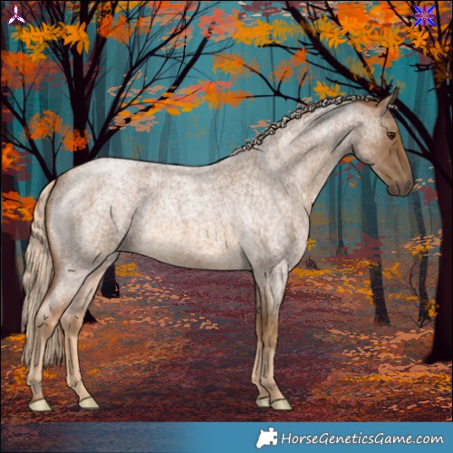 Horse Color:Chocolate Palomino Roan 
