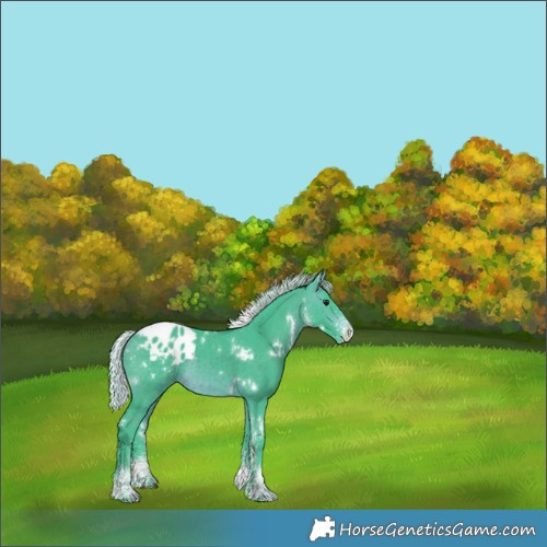 Horse Color:Watercolor White Spotted Silver Brown Appaloosa Rabicano 