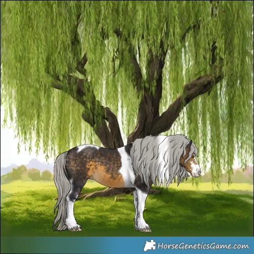 Horse Color:Silver Buckskin Sabino Tobiano 
