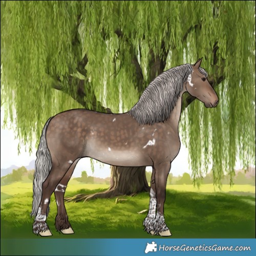 Horse Color:White Spotted Silver Brown Dun Tobiano Rabicano 