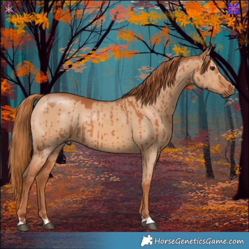 Horse Color:Red Dun Brindle 