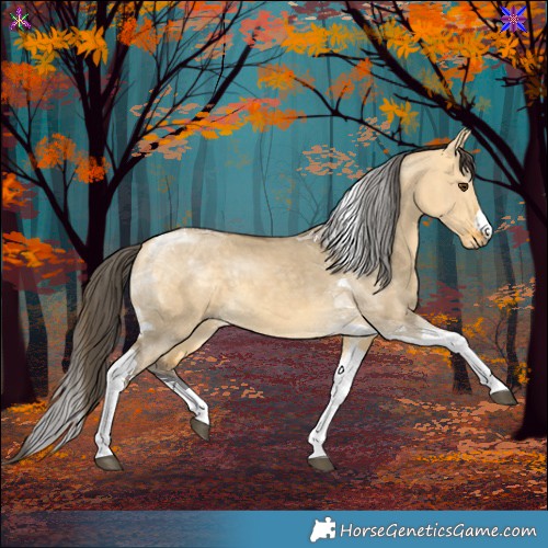 Horse Color:Buckskin Dun Tobiano 