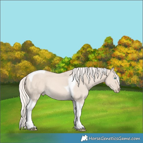 Horse Color:Cremello Dun Tobiano 