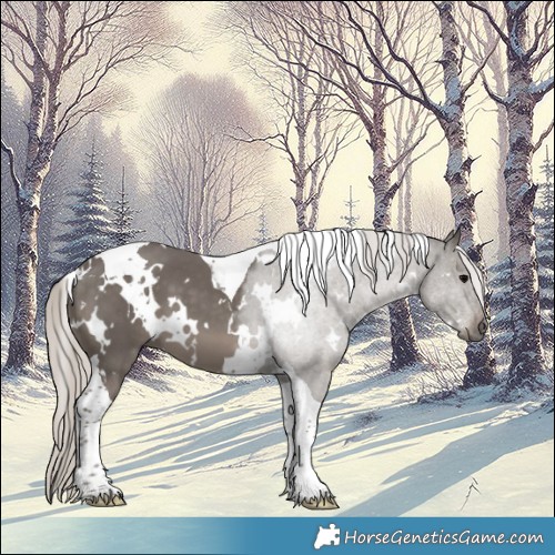 Horse Color:White Spotted Silver Black Tobiano 