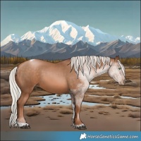 Horse Color:Silver Brown Pearl Tobiano Rabicano