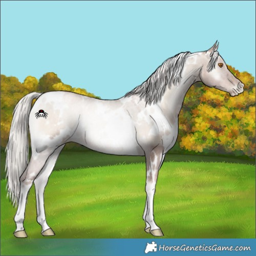 Horse Color:White Spotted Silver Grullo Pearl Onyx Mushroom 